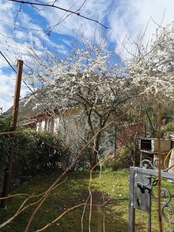 Holiday home Casa Vista E Giardino Porlezza